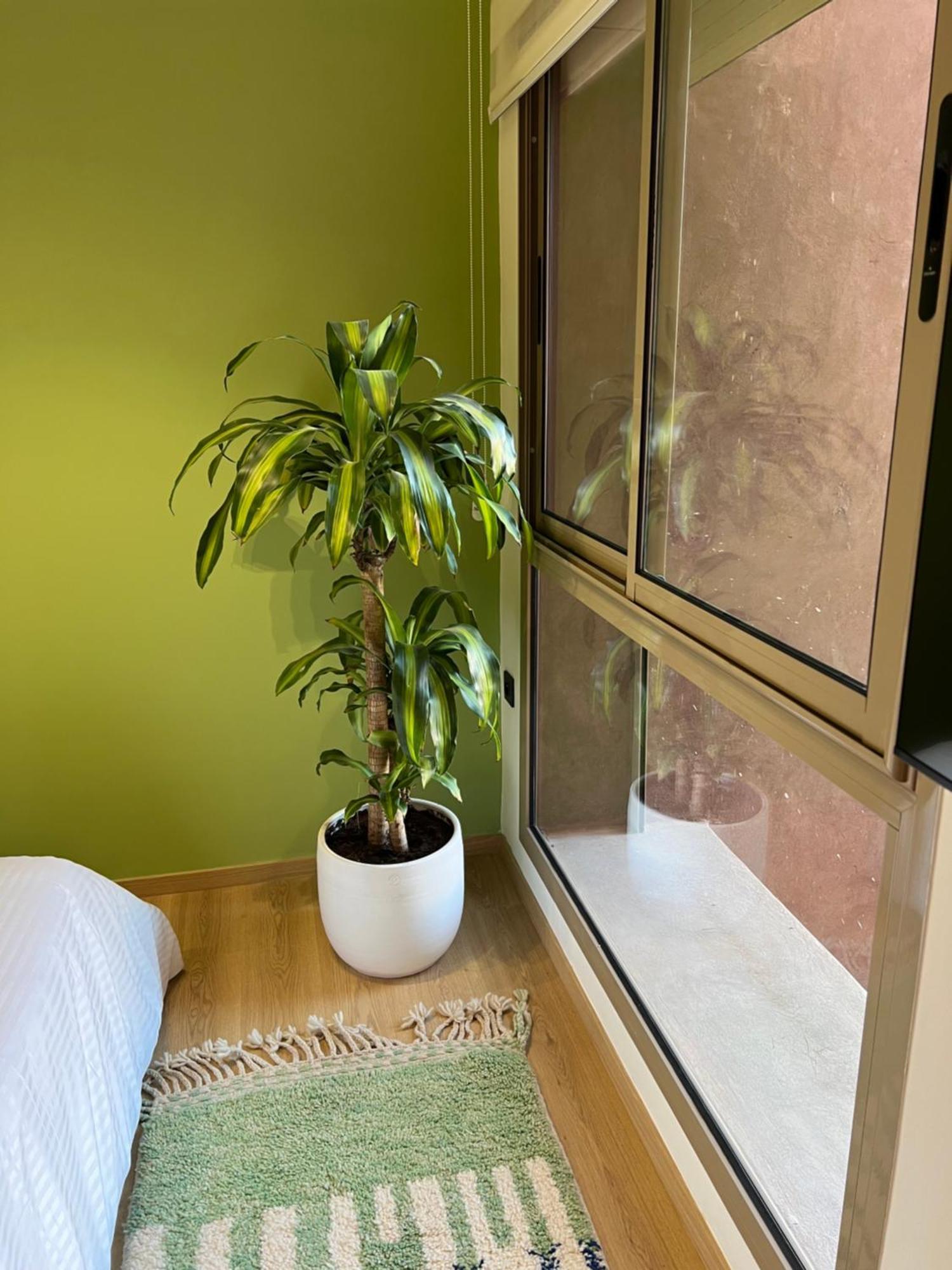 Luxe Appartement A Louer Pour Les Familles مراكش المظهر الخارجي الصورة